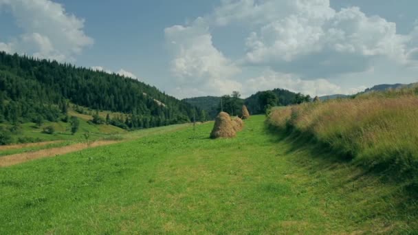 Ordinary Carpathian landscape with haystacks. — Stock Video