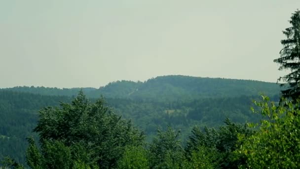 Prachtige Karpaten landschap panorama. — Stockvideo