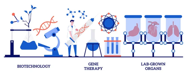 Biotecnologia Terapia Genética Conceito Órgãos Cultivados Laboratório Com Pessoas Pequenas —  Vetores de Stock