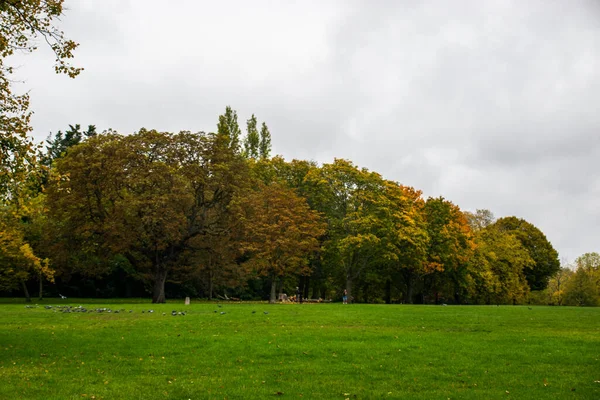 Foto Uma Floresta Outono Sem Pessoas Cheio Árvores Diferentes Cores — Fotografia de Stock