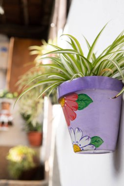 İspanya - 28 Aralık 2020: İspanya 'nın güneyinde bir sokak dolusu fabrika