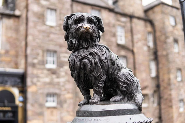 苏格兰柏林 2021年7月14日 2021年夏天 苏格兰爱丁堡的灰修士博比雕像 波比是一只狗 据说在主人的墓前度过了14年 直到1872年去世 — 图库照片