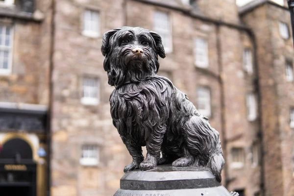 苏格兰柏林 2021年7月14日 2021年夏天 苏格兰爱丁堡的灰修士博比雕像 波比是一只狗 据说在主人的墓前度过了14年 直到1872年去世 — 图库照片