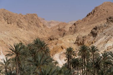 Chebika vahası, Djebel el Negueb-Tunus dağlarının eteklerinde yer alır.