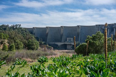 Tunus Manzarası - Oued Mellegue - Kuzey Tunus