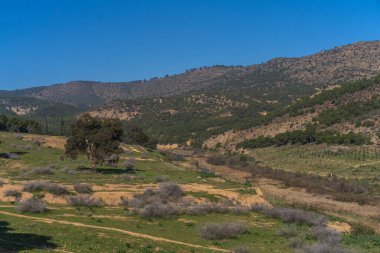 Tunus Peyzajı - Oued Mellegue - Kuzeybatı