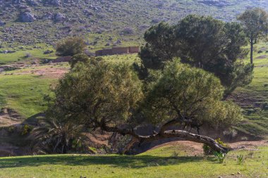 Tunus Peyzajı - Oued Mellegue - Kuzeybatı