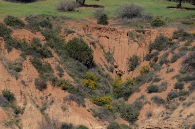 Tunus Peyzajı - Oued Mellegue - Kuzeybatı