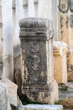 El Kef 'teki Roma taşları (antik Sicca Veneria), Kuzey Tunus, 2 Kasım 2025