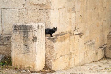 El Kef 'teki Roma taşları (antik Sicca Veneria), Kuzey Tunus, 2 Kasım 2025