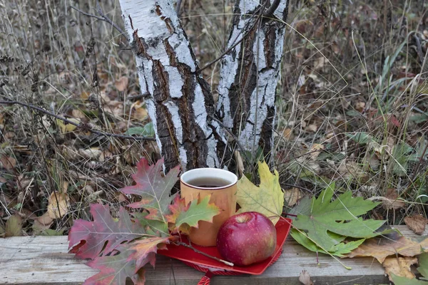Gibt Eine Tasse Tee Unter Einer Birke Und Herbstblätter Ein — Stockfoto
