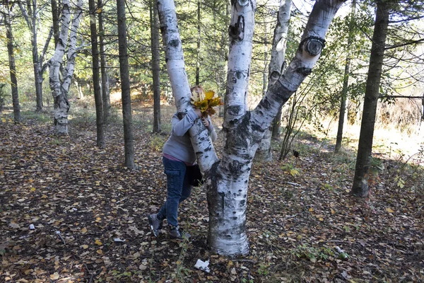 Une Femme Aux Feuilles Automne Main Tient Derrière Tronc Bouleau — Photo