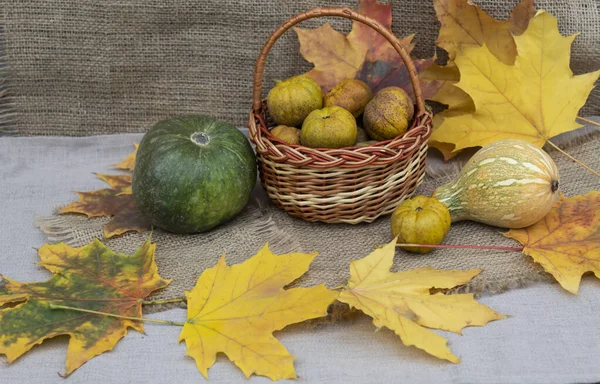 Auf Dem Tisch Liegen Zwischen Den Herbstblättern Kürbisse Und Ein — Stockfoto