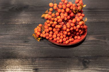 Koyu bir zeminde kırmızı bir çay tabağı ve rowan üzümü var..