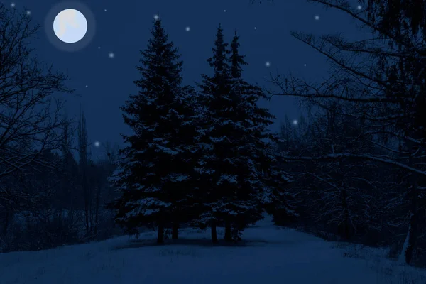 冬夜风景 雪中的树 白雪覆盖的冷杉树 月亮和星星在黑暗的天空中闪耀 — 图库照片