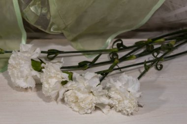 Beyaz ahşap arka planda beyaz, sevimli karanfiller.. 