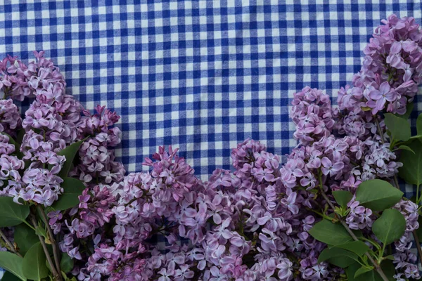 Lilac Branches Lie Bottom Blue Checkered Fabric — Stok fotoğraf