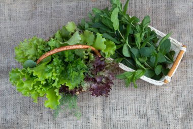 Yukarıdan bak. Hasır sepetteki nane yapraklarını kes. Yakınlarda bir sepet salata, dereotu ve maydanoz var.. 