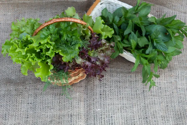 Cut Peppermint Leaves Wicker Basket Nearby Basket Salad Dill Parsley — Stock Photo, Image