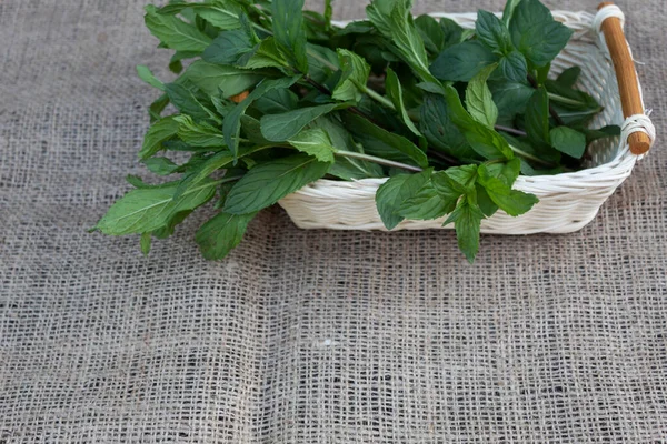 Cut Peppermint Leaves Wicker Basket — Stock Photo, Image