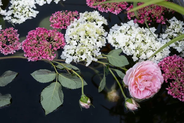 Weiße Und Rosa Hortensien Und Eine Rosa Rose Schweben Wasser — Stockfoto