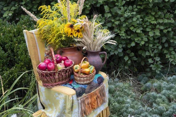 Auf Einem Stuhl Garten Steht Ein Krug Mit Blumen Ein — Stockfoto