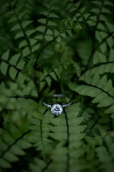 白色的金订婚戒指 镶嵌着一颗镶嵌在绿叶上的钻石 一个新鲜而优雅的婚礼背景 — 图库照片