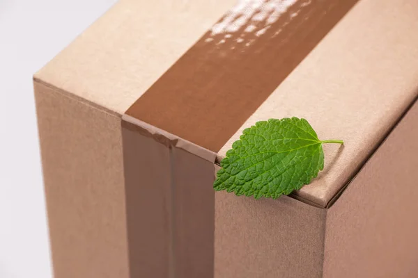 Close-up on a fresh green leaf on a cardboard box — Stock Photo, Image