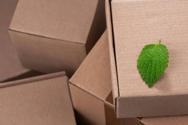 Green leaf on a pile of cardboard boxes — Stock Photo, Image