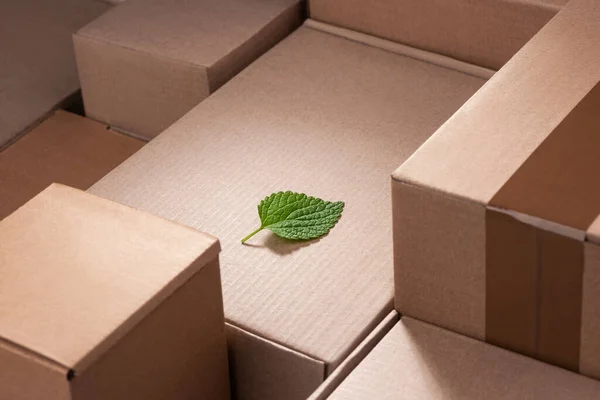 Fresh green leaf laying between cardboard boxes — Stock Photo, Image