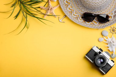 Palmiye yaprakları, deniz kabukları ve sarı renkli kamera.