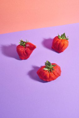 Çirkin ama taze ve lezzetli çilekler menekşe ve kırmızı arka planda