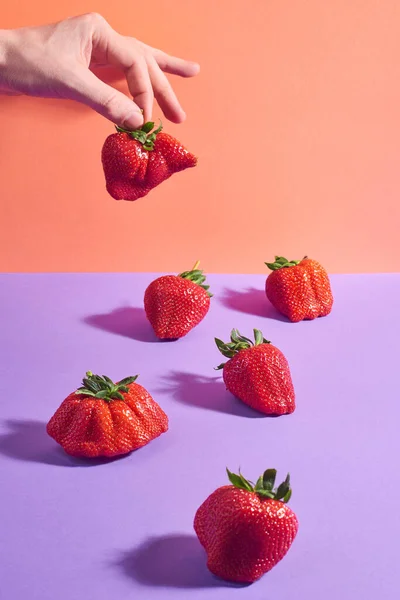 Mão escolhendo o mais feio de morangos — Fotografia de Stock