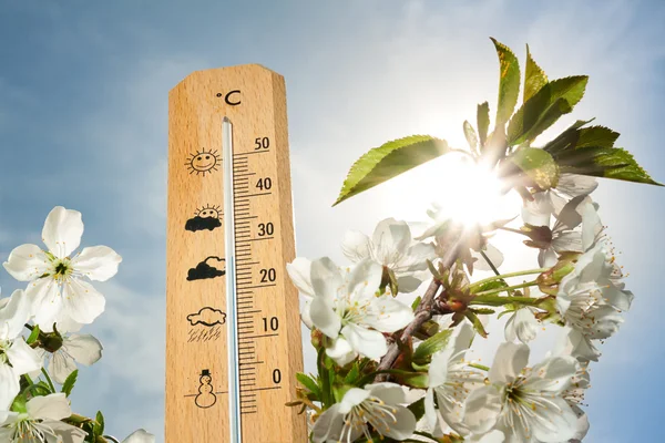 Güzel sıcaklık termometre bahar gününde — Stok fotoğraf
