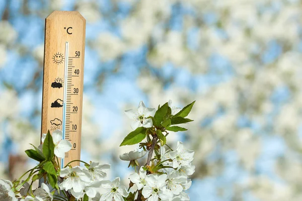 Прекрасный день весны на термометре — стоковое фото