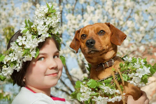 Onun kahverengi köpek ile şirin küçük kız — Stok fotoğraf