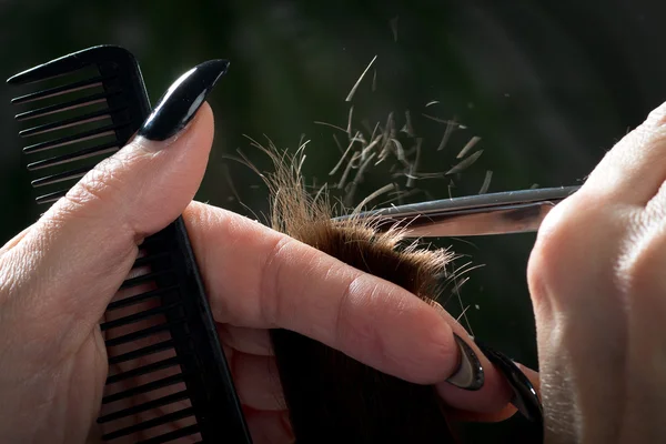 Kapper bruin haar trimmen met een schaar — Stockfoto