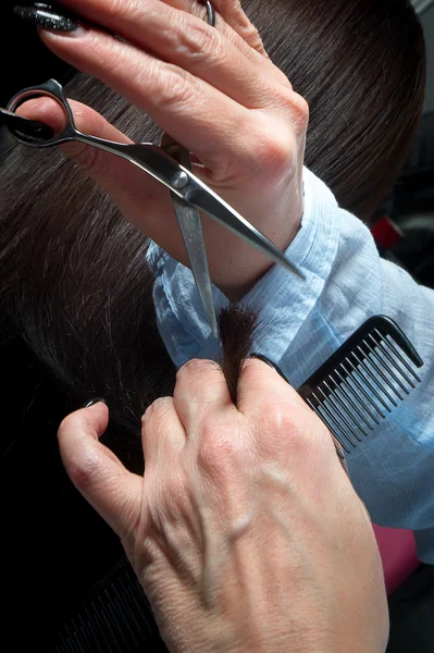 Cabeleireiro aparar cabelos castanhos com tesoura — Fotografia de Stock