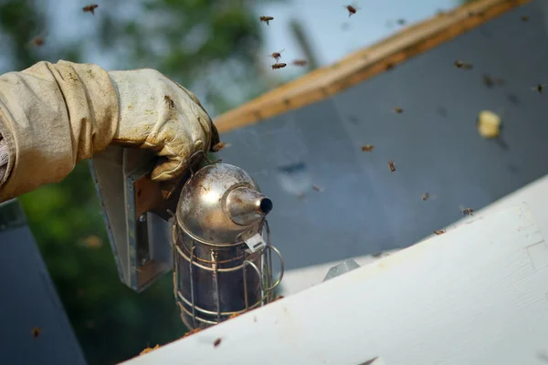 养蜂人控制着身着防护服的蜜蜂和蜜蜂 — 图库照片
