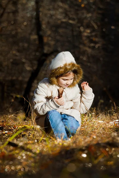 Happy little girl playing with big dog in the forest in autumn — Stock Photo, Image