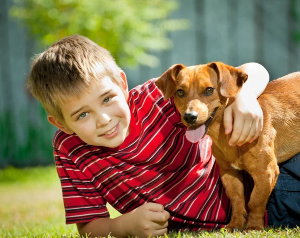 El perro es mi mejor amigo. — Foto de Stock