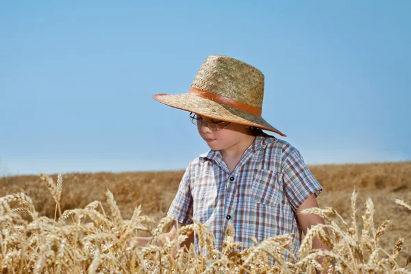 Crianças pequenas no trigo — Fotografia de Stock