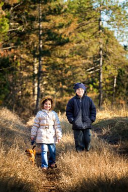 Köpek aut, ormandaki yürüyen küçük bir çocukla