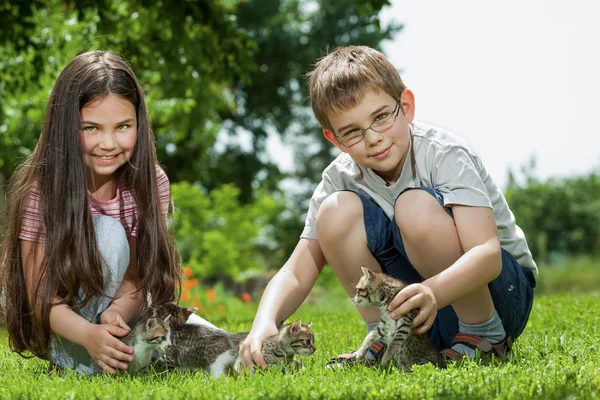 De gelukkige kinderen met een kleine kat — Stockfoto