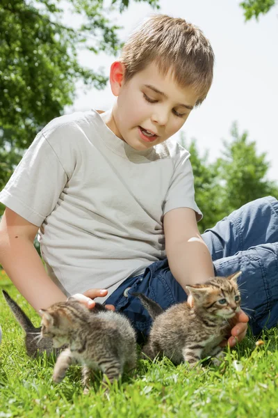 Küçük bir kedi ile mutlu küçük çocuk — Stok fotoğraf