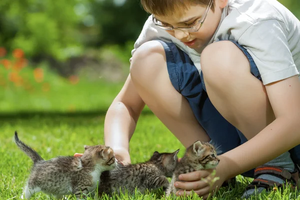 Gelukkig kleine jongen met een kleine kat — Stockfoto