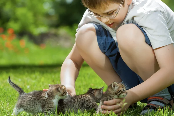 Joyeux petit garçon avec un petit chat — Photo