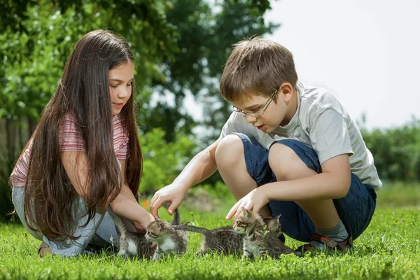 De gelukkige kinderen met een kleine kat — Stockfoto