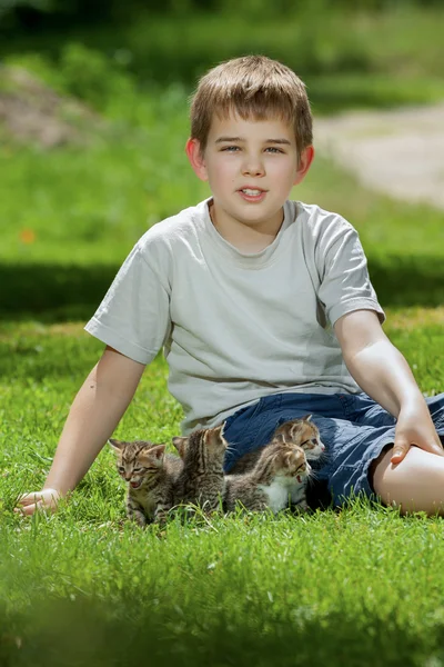 ほとんどの猫との幸せな小さな男の子 — ストック写真