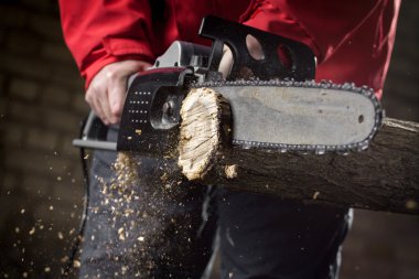 Elektrikli testere bıçağı